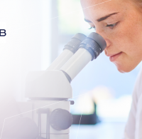 Hana-joins-Auburn-Board-v2-1024x424